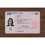 United Kingdom Driving License